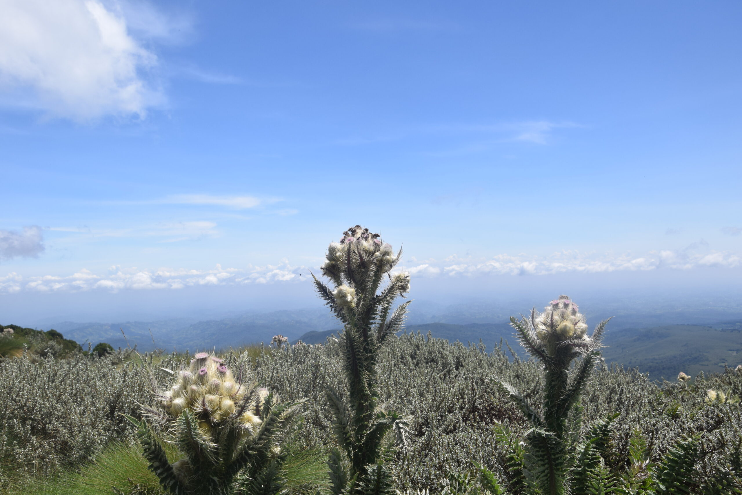 Single Day (One Day) Kenya Day Tours