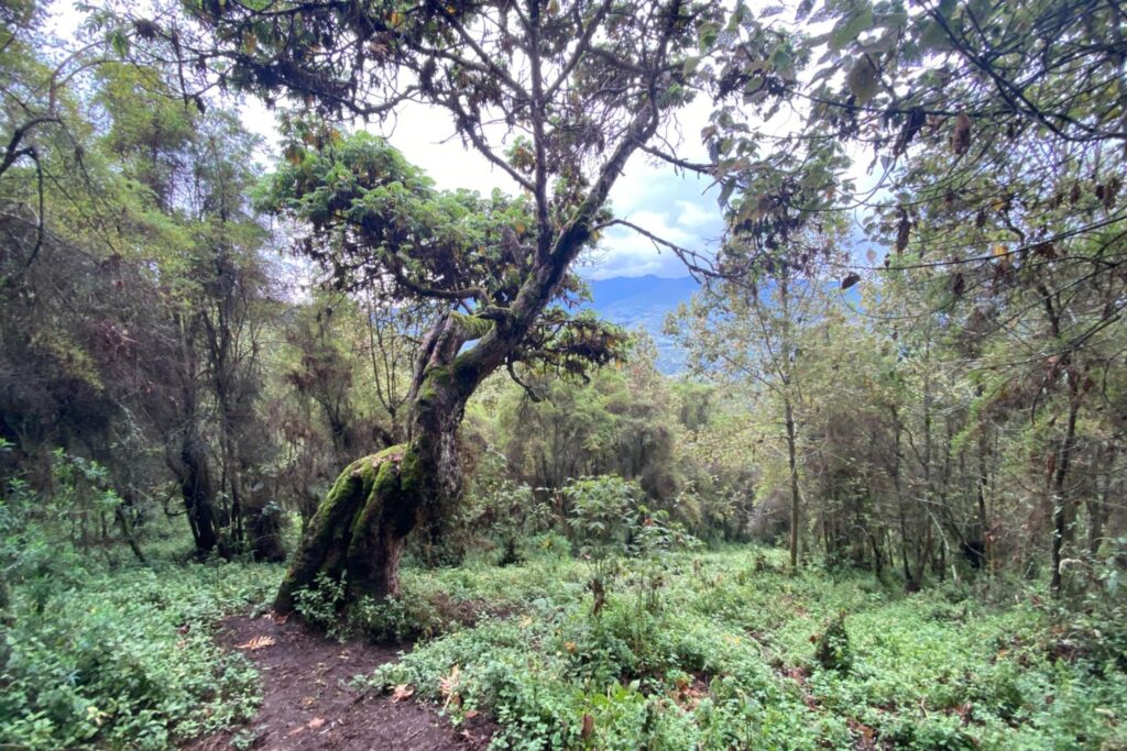 Multi Days Kenya Day Tours