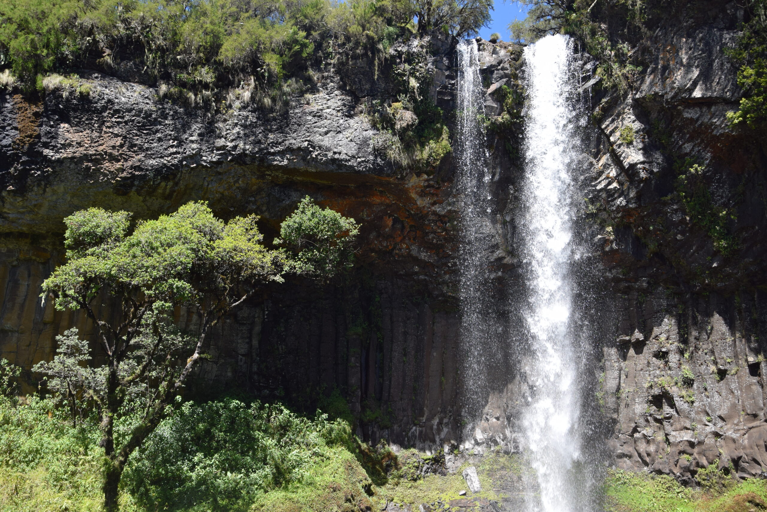 Home Kenya Day Tours